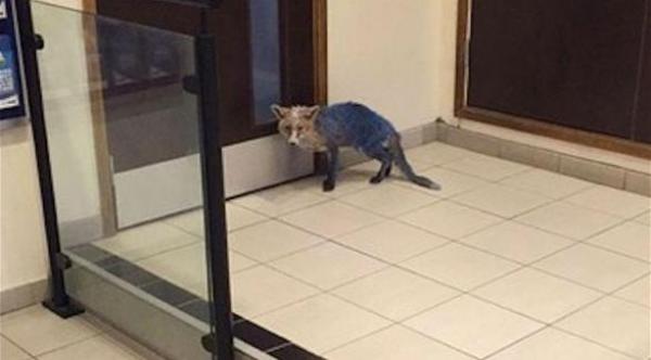  خرج من دون إزعاج أو خسائر