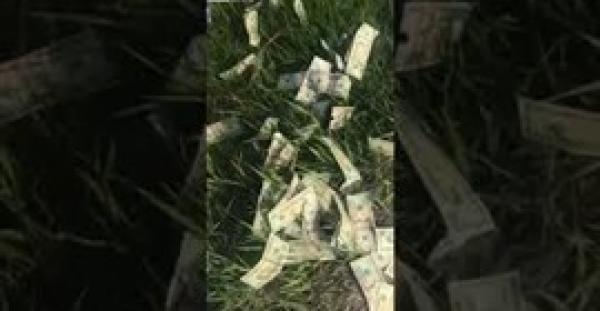 آلاف الدولارات الملقاة بطريق سريع تثير حيرة المارة (فيديو)