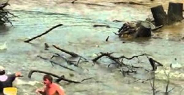 بالفيديو.. أسماك طائرة تهاجم سباحًا بإحدى البحيرات