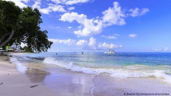 حلم التعلّم على شاطئ البحر يتحقق في زمن كورونا!