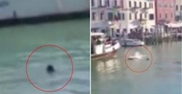 بالفيديو.. لحظة غرق مهاجر أفريقي في البندقية ورفض مساعدته