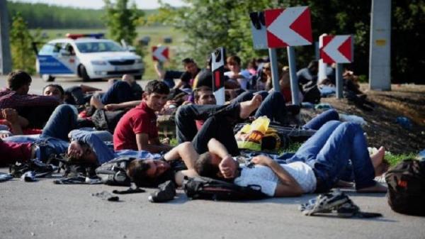 بعد ألمانيا .. النمسا تنوي إعلان المغرب "بلدا آمنا" لاعادة اللاجئين اليه