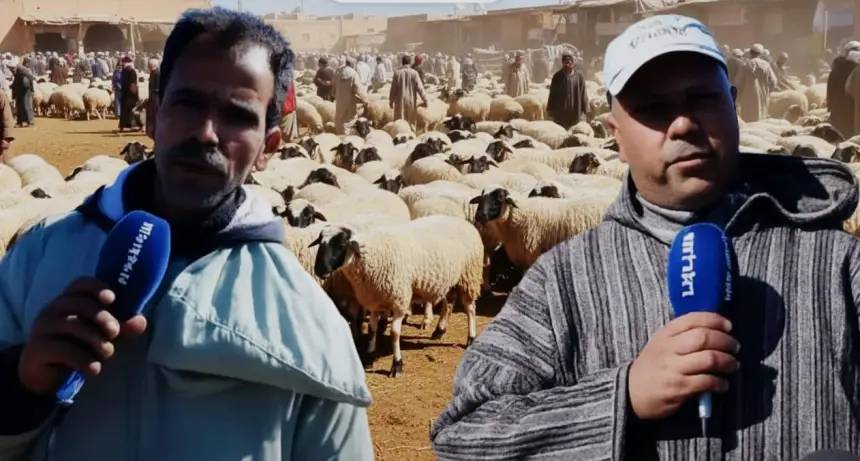 واش كاين الغلاء هذه السنة؟.. كسابة يفتخون قلبهم لـ"أخبارنا" ويكشفون الثمن الحقيقي لأضحية العيد