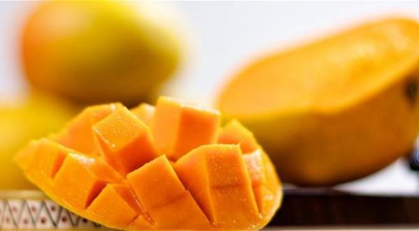 فوائد المانجو للبشرة والكولسترول