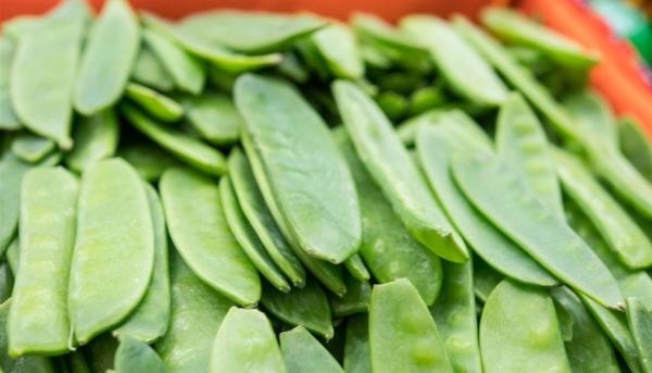 فوائد لا تحصى لبازلاء الثلج