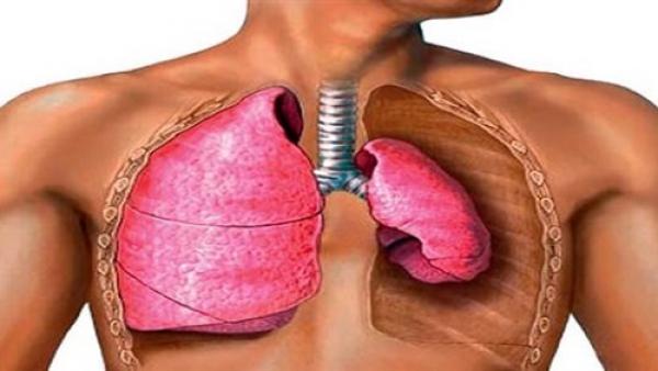 وصفة طبيعية لتنقية الجهاز التنفسي وحمايته من الأمراض