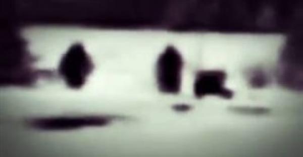 بالفيديو.. ظهور مخلوقات مرعبة في متنزه أمريكي