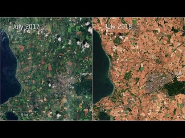 شاهد بالصور شمال أوروبا يتحول من الأخضر إلى البني بسبب موجة الحر…