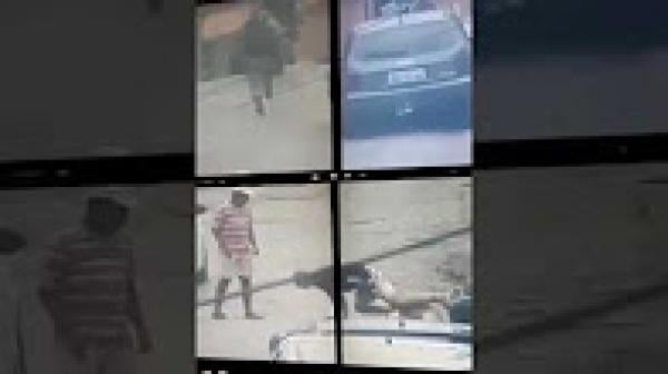 شاهد كلب يوقف لص في مطاردة مع الشرطة