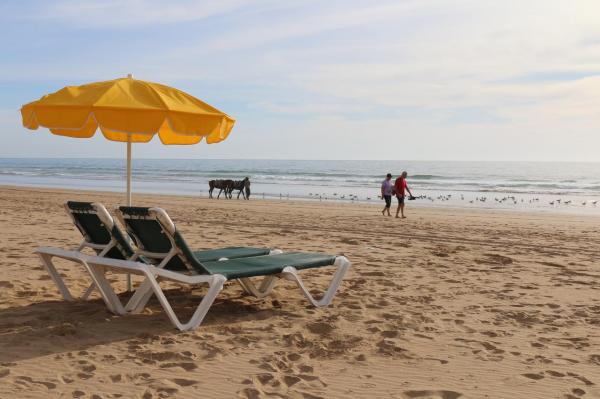 كراء المظلات في شواطئ المملكة ... لقمة عيش موسمية تثير الجدل كل سنة