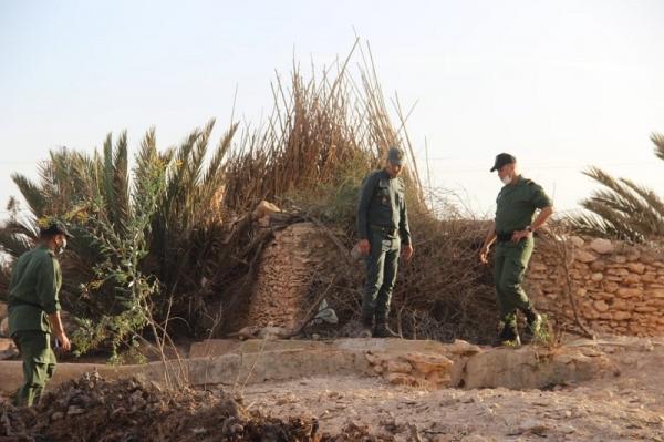 الصورة من الأرشيف