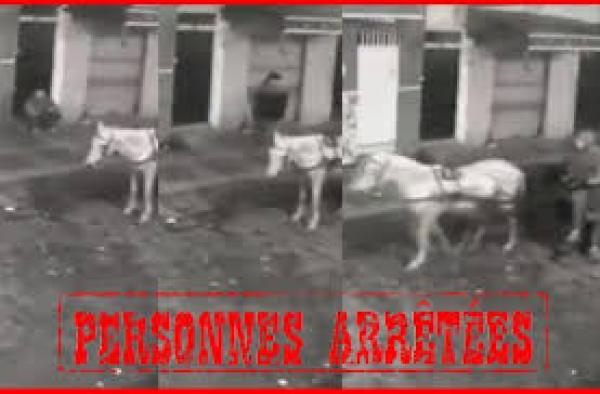 فيديو فايسبوكي يحرك أمن القنيطرة ويتسبب في اعتقال "مول البالوعات"