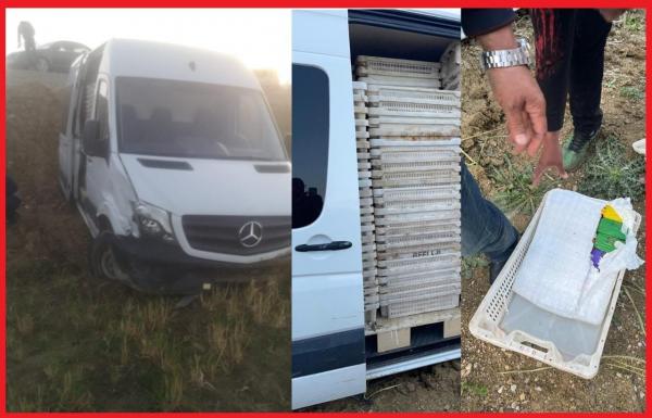 صورة حقيقية