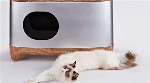 صندوق ذكي يطمئنك عن صحة قطتك عبر الهاتف