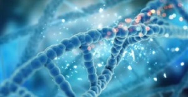 طبيب أمريكي: مرض السرطان غير مرتبط بجينات وراثية أو بالبيئة