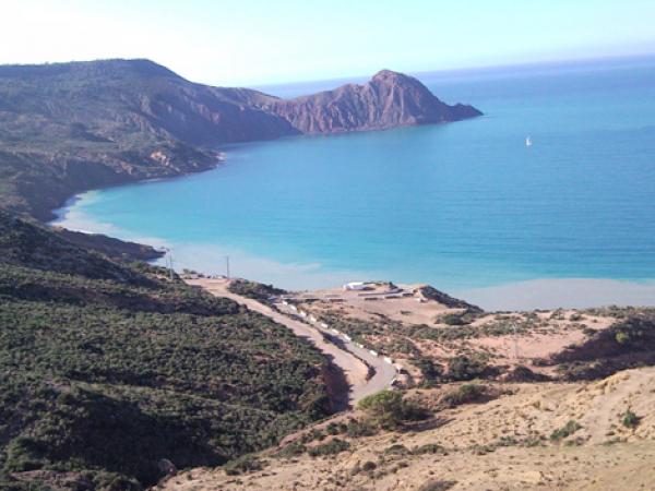 النهود العارية": صيغة إحتجاجية بدأت في التسرب إلى المغرب