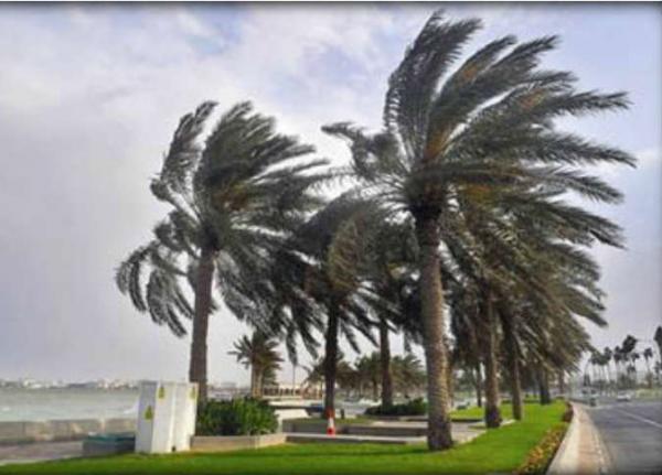 الأرصاد الجوية تحذر من رياح قوية بهذه المناطق