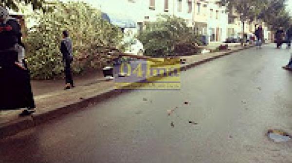 سقوط أشجار بسباتة - الدارالبيضاء