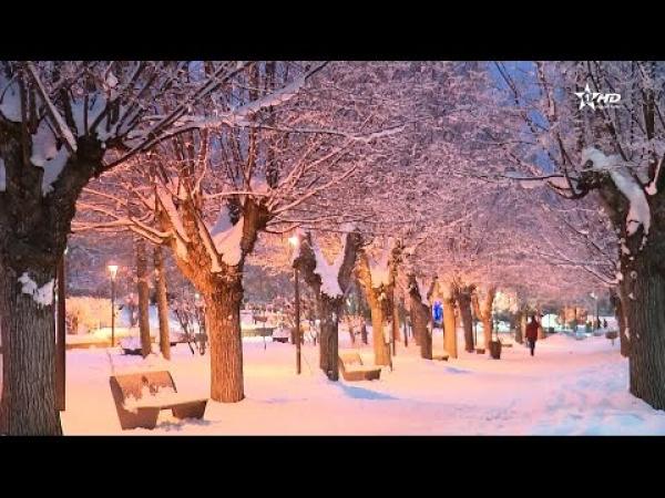لقطات رائعة لتساقط الثلوج ليلة أمس بافران "سويسرا المغرب"