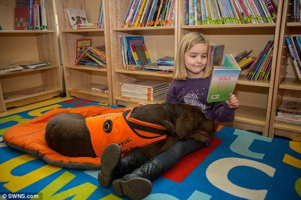 بالفيديو: تعرف على الكلب الذي يستطيع القراءة