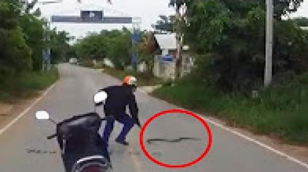 7 لحظات لو لم تُسجل، لم يكن ليصدقها أحد ..!!