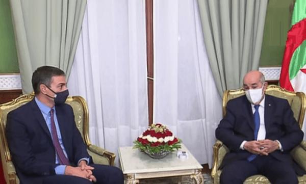 مصادر: الجزائر تهيئ لرد "عالمي" على الموقف الإسباني الجديد من قضيـة الصحراء المغربية