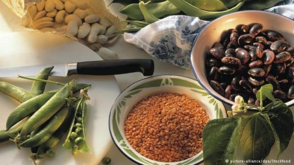 احمِ كوكبنا واعدل عن اللحوم إلى الحبوب !