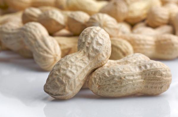 تناول الفول السوداني يجنب الأطفال حساسيته