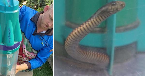 تصطاد ثعبانا تسلل الى منزلها باستخدام مكنسة كهربائية(فيديو)