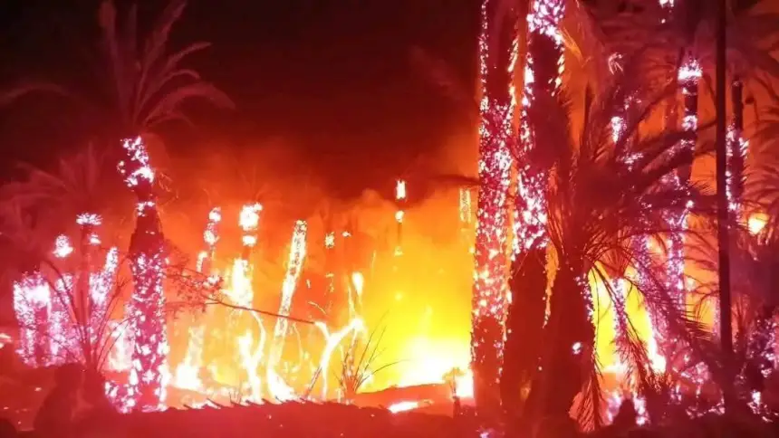 إقليم طاطا.. حريق بواحة "أفرا" يتسبب في إتلاف أزيد من 3 هكتارات من النخيل
