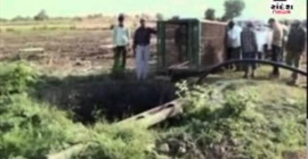 بالفيديو.. إنقاذ «لبؤة» سقطت داخل بئر في الهند