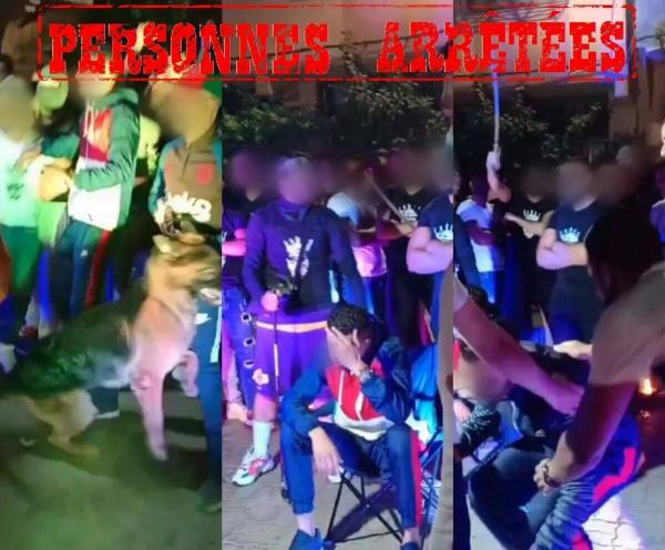 الأمن يتحرك ويطيح بـ9 متورطين في واقعة تصوير أغنية بـ "السيوف" والكلاب الشرسة