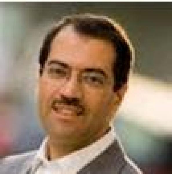 الإمارة والتجارة والبيصارة