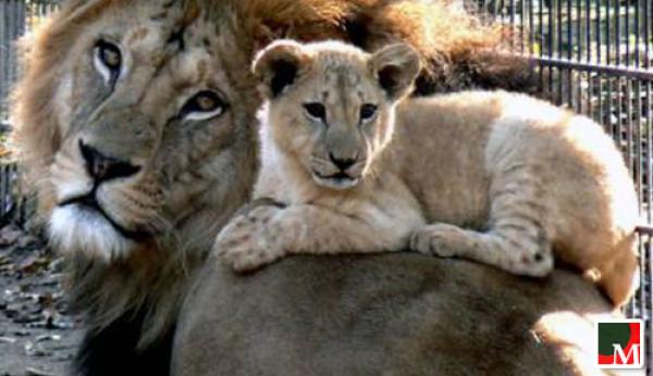 50 درهما ثمن دخول الحديقة الوطنية