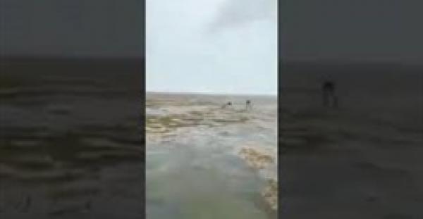 بالفيديو.. مياه المحيط تختفي في جزر البهاماس بسبب إعصار إرما