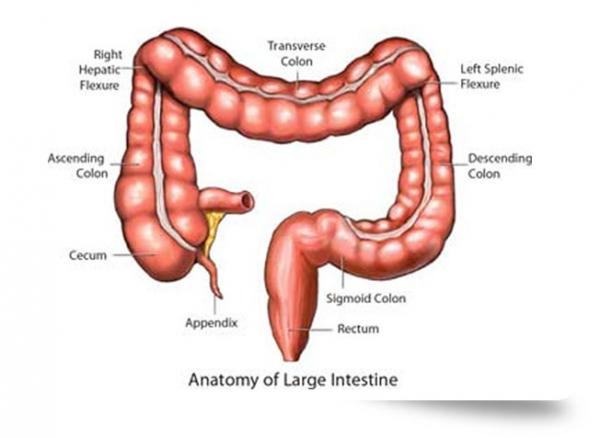 أطعمة يجب تجنبها مع القولون العصبي