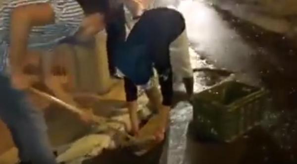 الريفيون ينظفون الاحياء بعد الاحتجاجات ضد اعتقال الزفزافي