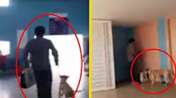 فيديو صادم : طبيب يتجول بكلبه داخل مستشفى بسطات!!!