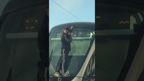 بالفيديو: شاب متهور يتشبث بقطار الطرامواي بالرباط على طريقة "سبايدرمان"