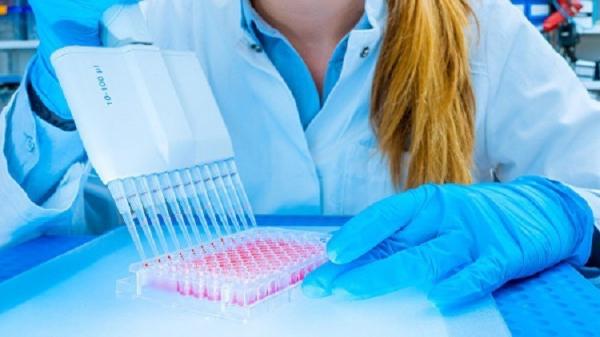 العلماء يحلون لغزا نسائيا في جينوم الإنسان