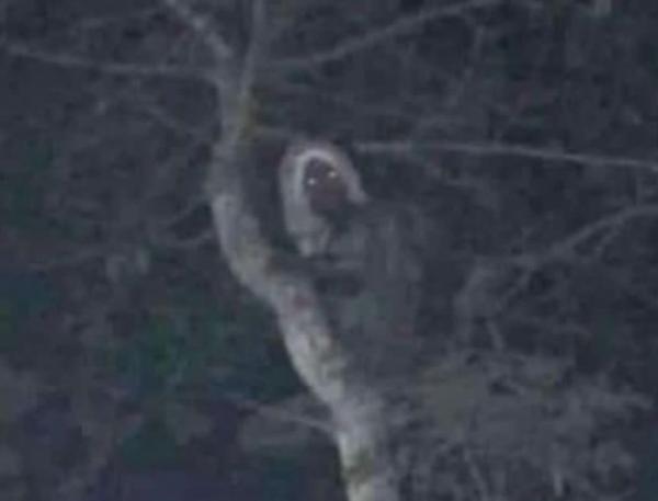 أثار جدلا كبيرا.. الرئيس المكسيكي ينشر صورة غريبة ويؤكد أنها ل"جِنِّي الغابات" الشهير