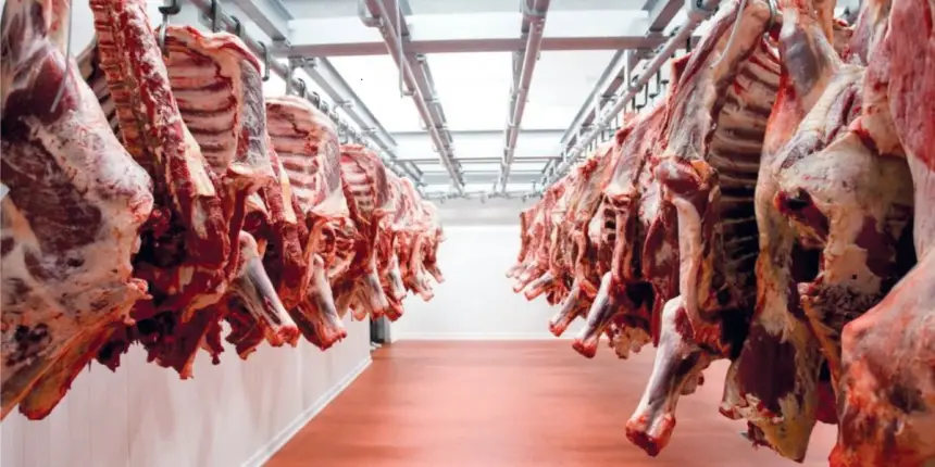 تعليمات صارمة بسحب لحوم الغنمي من الأسواق الكبرى بالمغرب