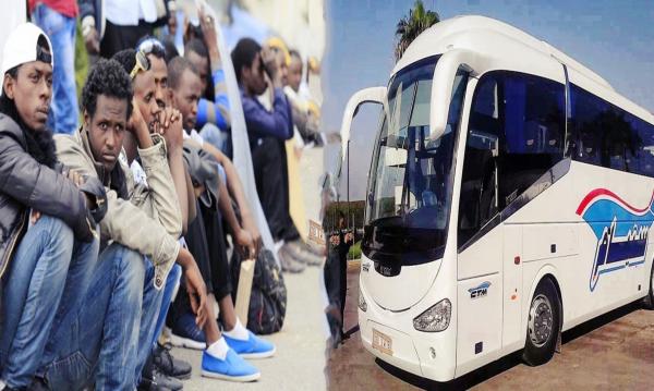 "ستيام" تردّ على "منع" المهاجرين الأفارقة من السفر عبر حافلاتها