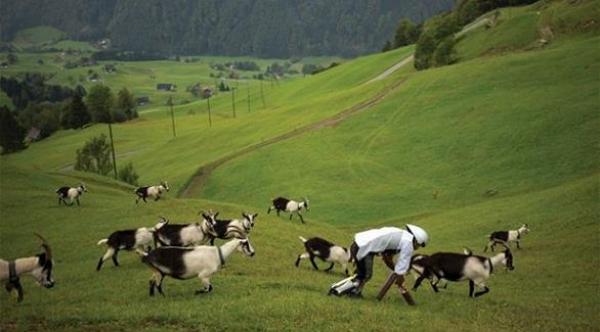 بالصور: تعرّفوا على الرجل العنزة