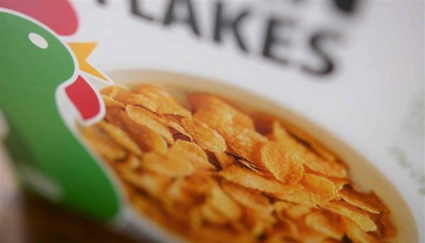 نزاع قضائي بين إيديكا الألمانية وكلوغ الأمريكية بسبب رقائق الذرة