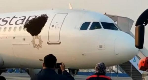 سرب ضخم من النحل يتسبب في فوضى وتعليق رحلة طيران(فيديو)
