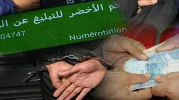 جابها في راسو.. رشوة 1000 درهم تطيح بموظف غابوي ضواحي مريرت