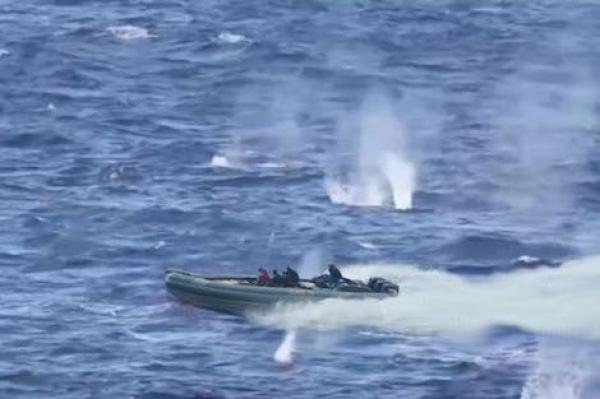 هذا جديد الحالة الصحية لأحد المصابين برصاص البحرية الملكية في عملية "الفانطوم"