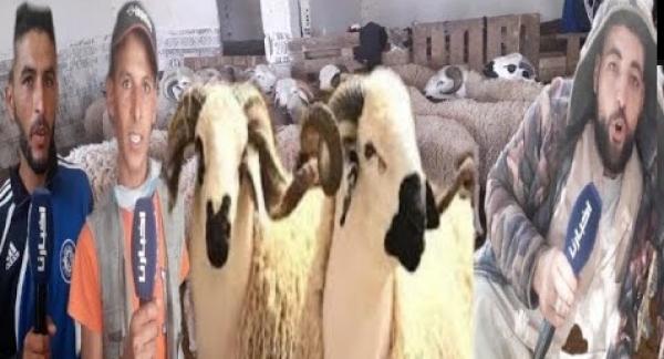 كساب : كنتمناو من سيدنا يعطي للناس تشري الأضحية وأغلى حولي عندنا واصل ل 7 ديال مليون