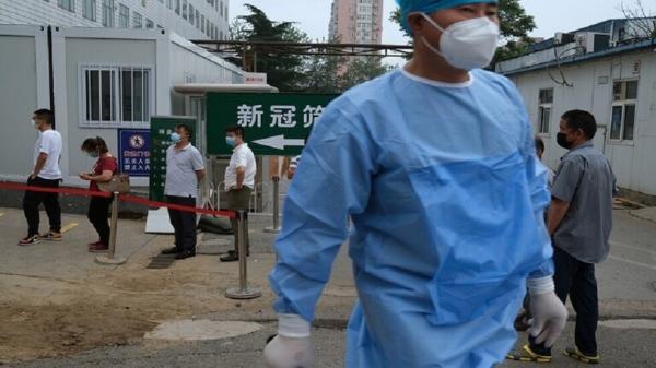 الصين تعلن مستوى الخطر الثالث لتفشي مرض الطاعون الدملي!